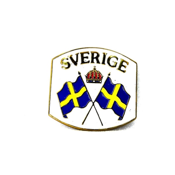 Bältesspänne Sverige multifärg