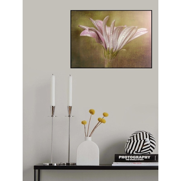 Pretty In Pink MultiColor 21x30 cm