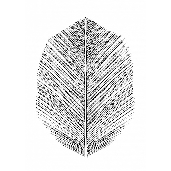 Feather MultiColor 21x30 cm