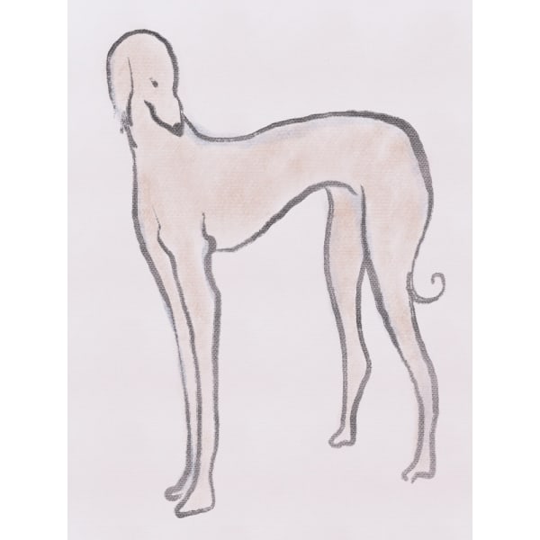 Pastel Hound MultiColor 70x100 cm