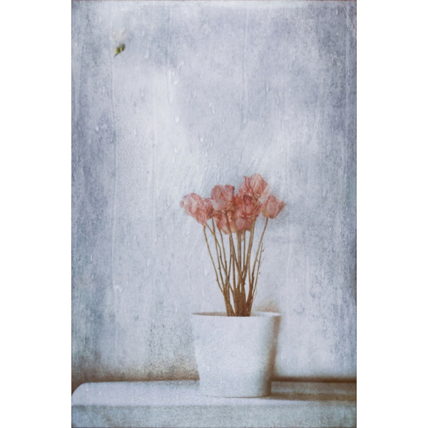 When Summer's Gone... MultiColor 30x40 cm