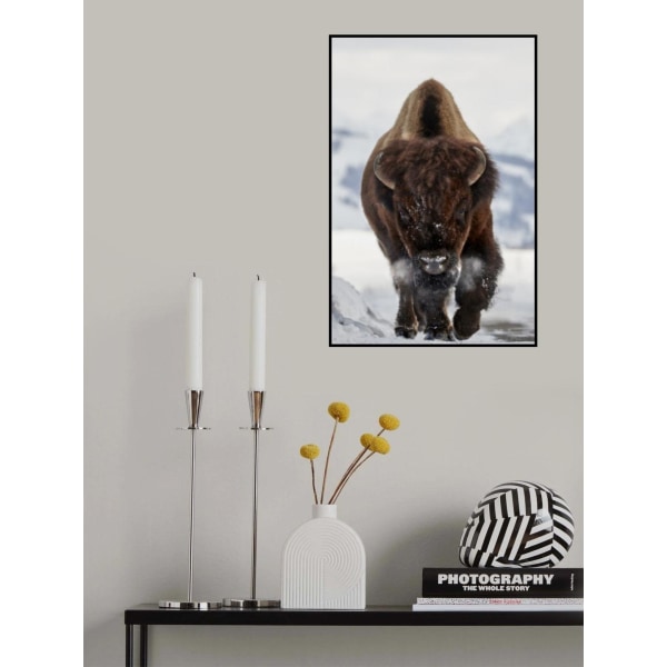 Bison Incoming MultiColor 21x30 cm