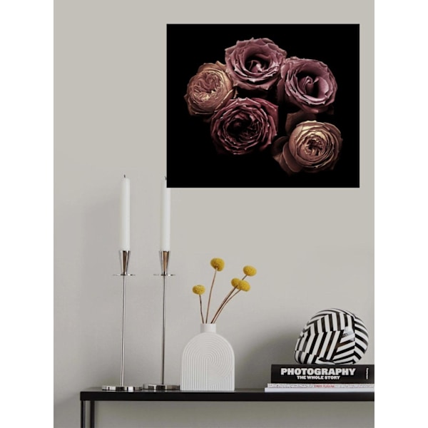 Roses MultiColor 21x30 cm