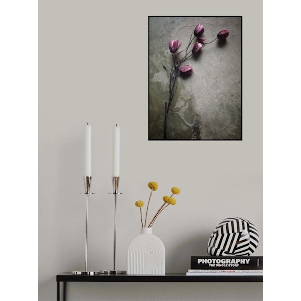 The Elegant Tulip MultiColor 70x100 cm