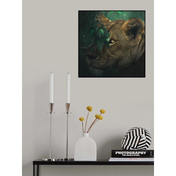 Eye Contact MultiColor 50x70 cm