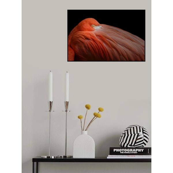 Poster MultiColor 70x100 cm