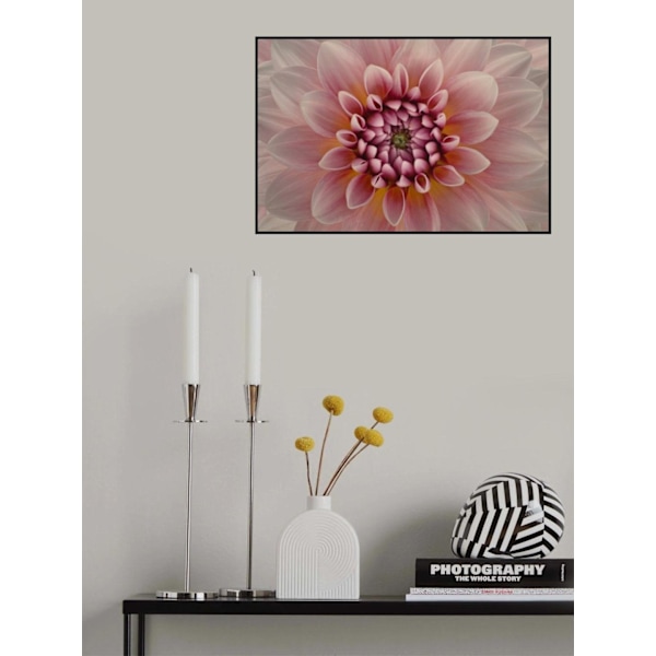 Blush MultiColor 50x70 cm