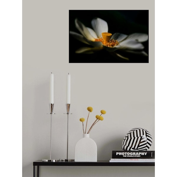 A Lotus, Softly MultiColor 21x30 cm