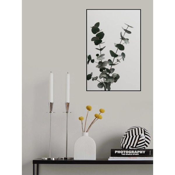 Eucalyptus Natural 04 MultiColor 70x100 cm