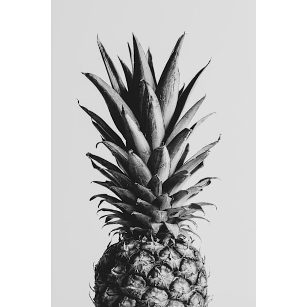 Pineapple Black Aamp White 02 MultiColor 30x40 cm
