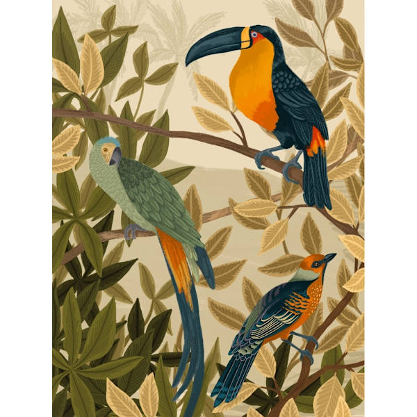 Paradise Birds MultiColor 50x70 cm