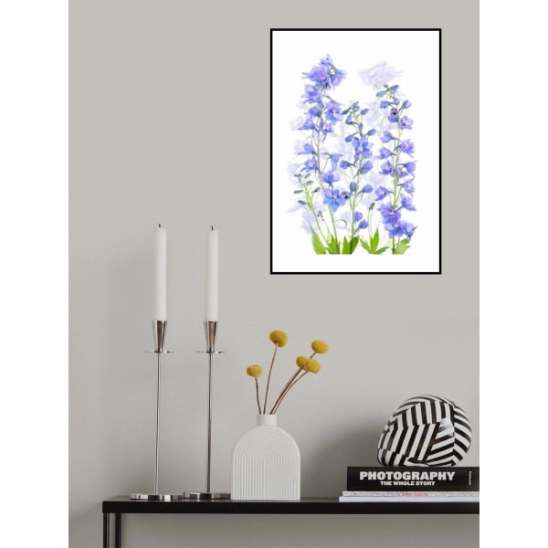 Delphinium MultiColor 21x30 cm