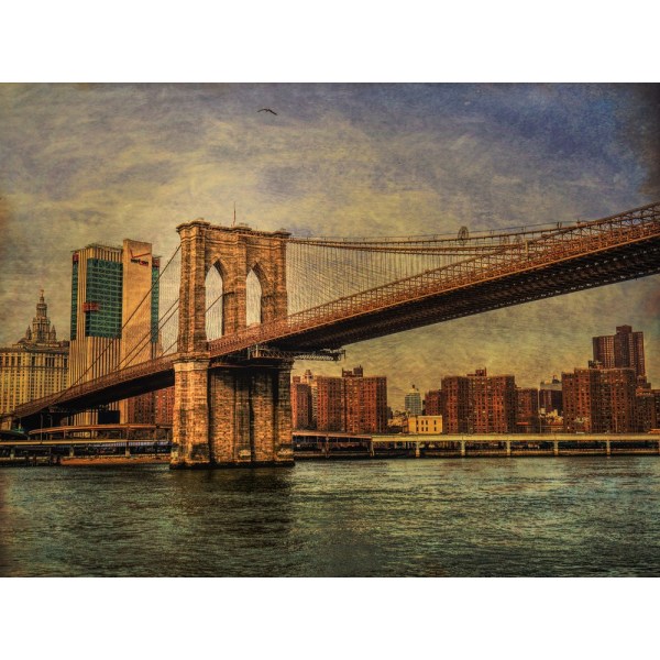 Brooklyn Bridge MultiColor 50x70 cm