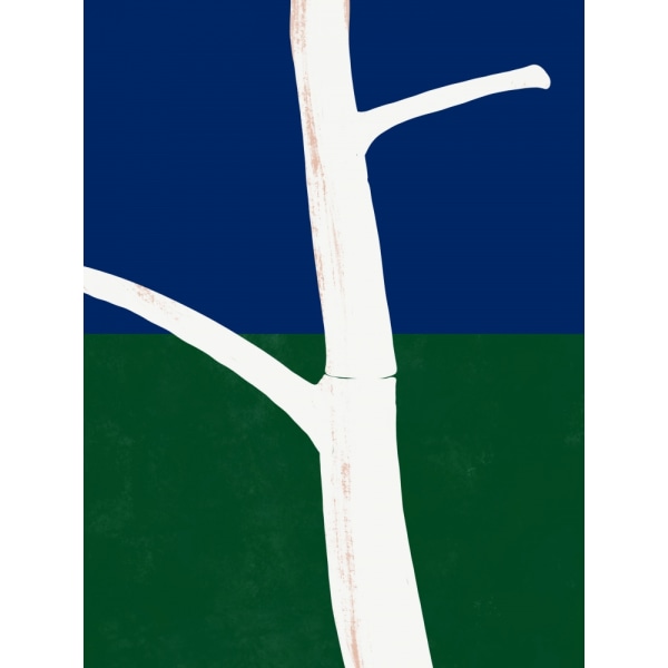 White Bark MultiColor 30x40 cm