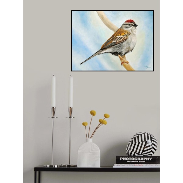 Chipping Sparrow Multicolor