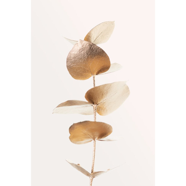 Eucalyptus Gold No 06 MultiColor 21x30 cm