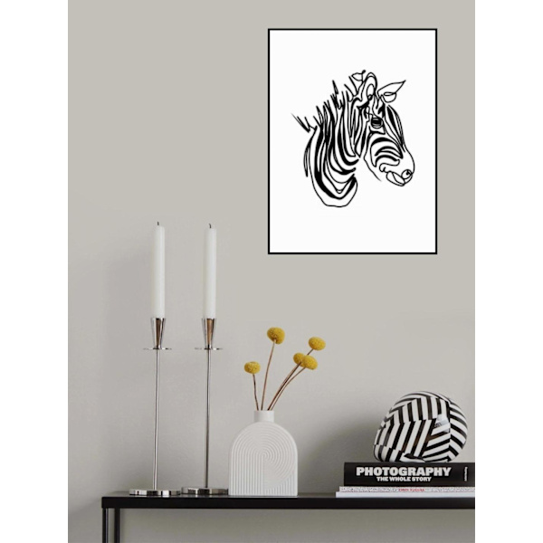 The Zebra MultiColor 70x100 cm