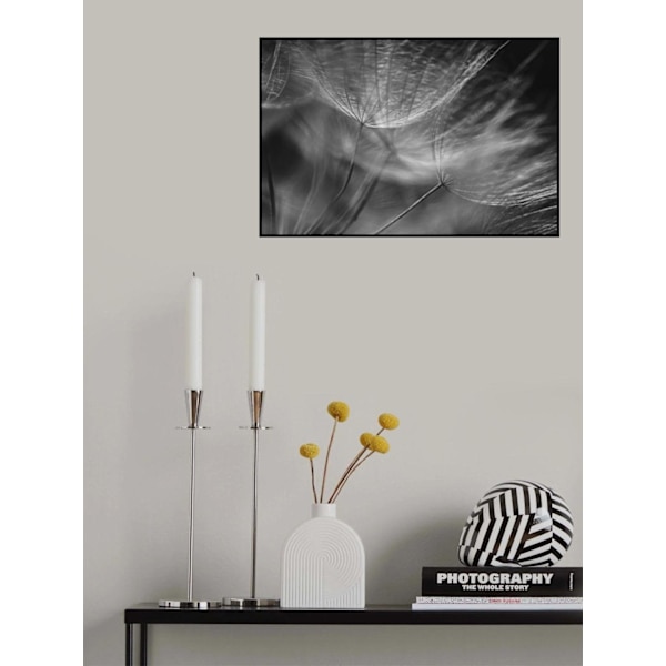 Dandelion Wishes MultiColor 21x30 cm