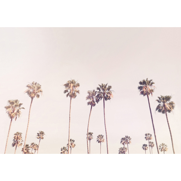 Sunny Cali Palm Trees MultiColor 30x40 cm