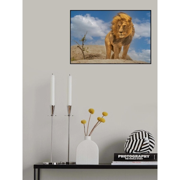 The Lion King MultiColor 70x100 cm