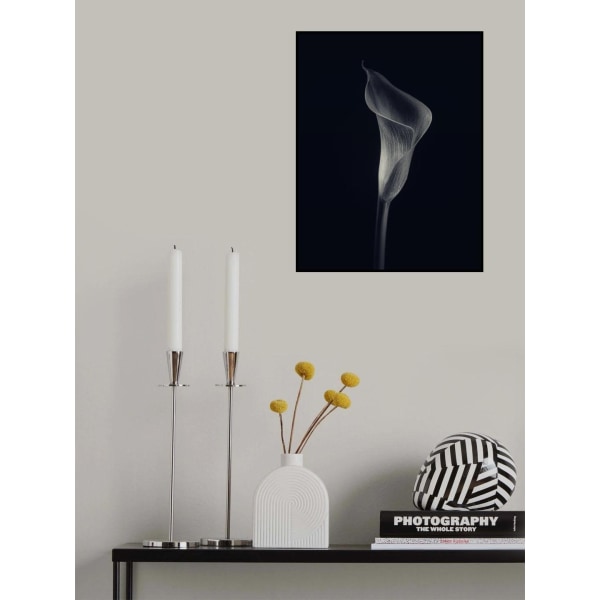 Calla Lily MultiColor 70x100 cm