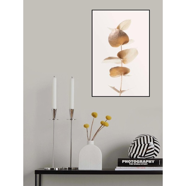 Eucalyptus Gold No 06 MultiColor 21x30 cm