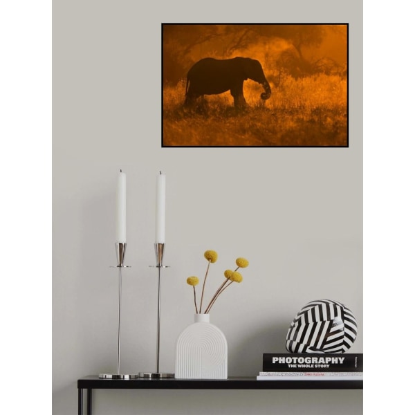 Golden Elephant In Savute MultiColor 70x100 cm