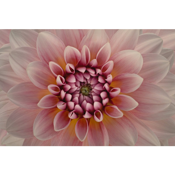 Blush MultiColor 21x30 cm