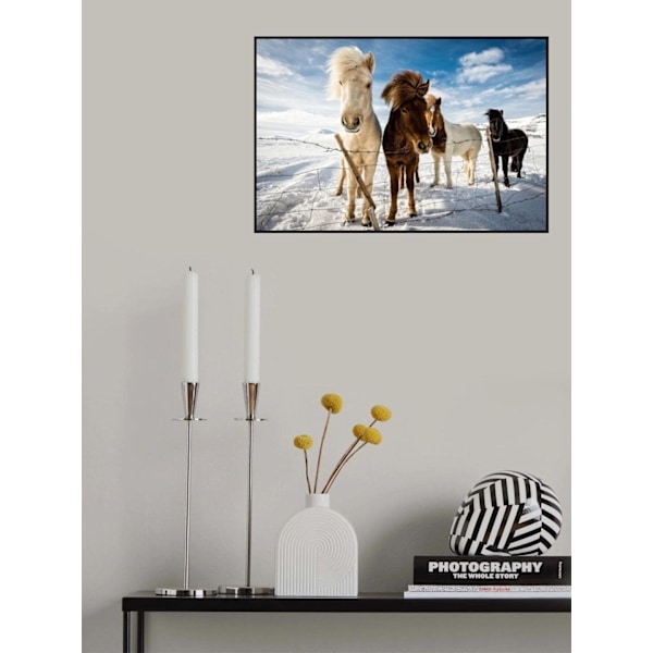 Islandsk Hårstyle MultiColor 70x100 cm