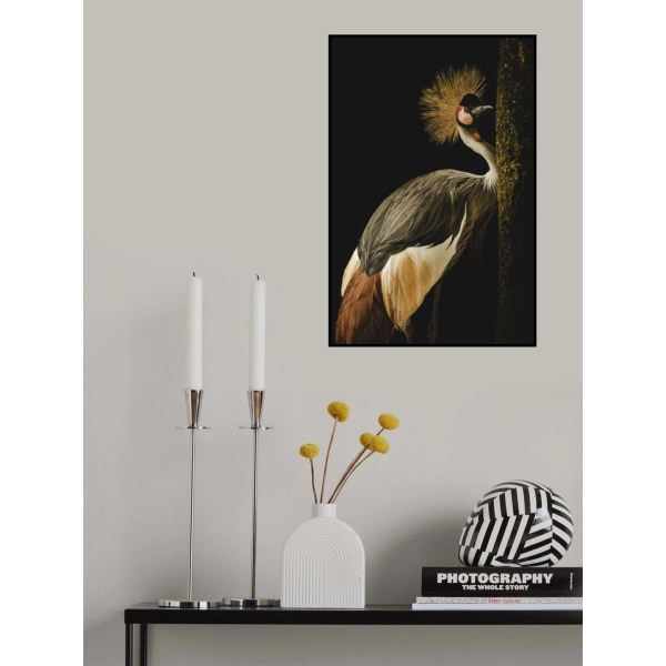 Grey Crowned Crane MultiColor 30x40 cm