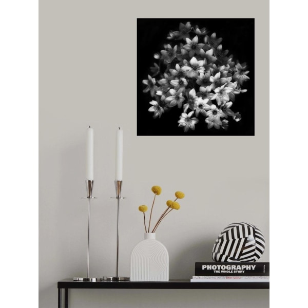 Early Sensation MultiColor 70x100 cm