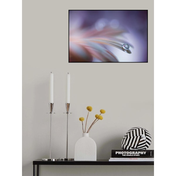 Sound Of Soul MultiColor 50x70 cm