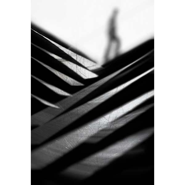Going Nowhere Fast MultiColor 50x70 cm
