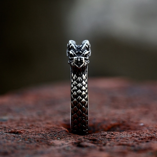 Ring - Nordisk Mytologi - Drake #9