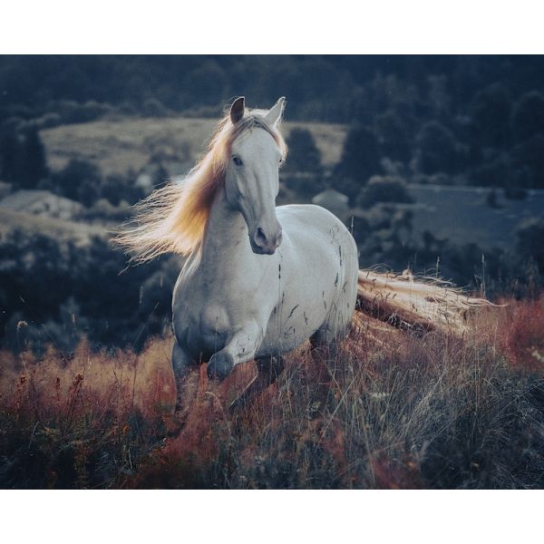Lyhyt tarina auringonnoususta MultiColor 21x30 cm