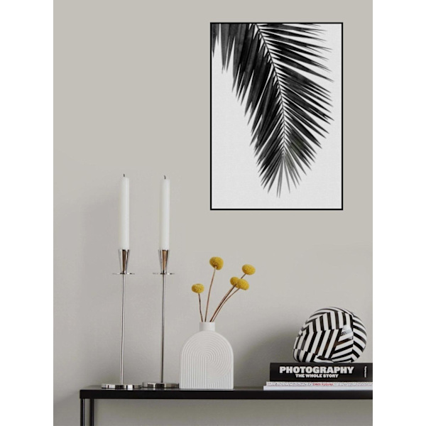 Palm Leaf Black A White I MultiColor 21x30 cm