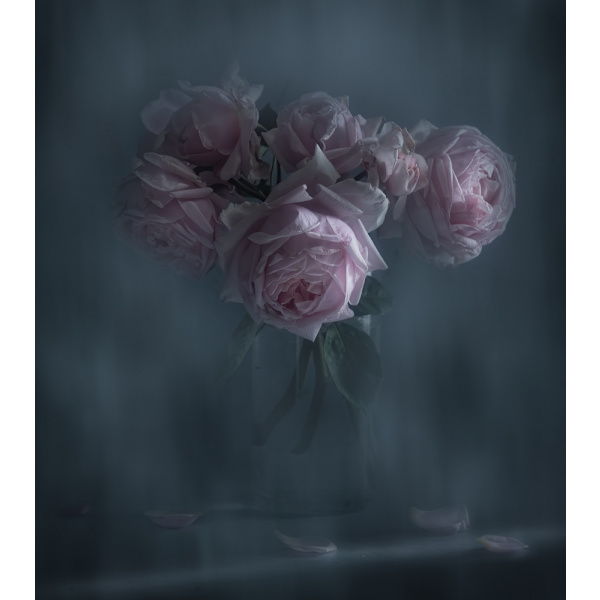 Poster MultiColor 50x70 cm
