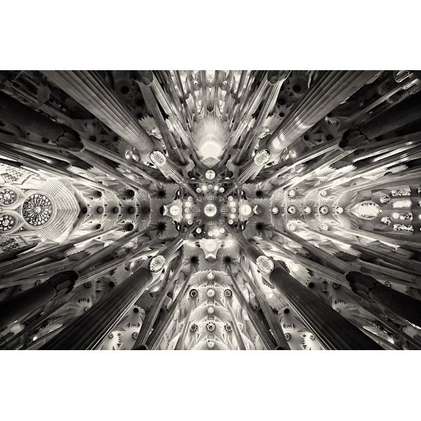 Artificial Forest - Sagrada Familia MultiColor 70x100 cm