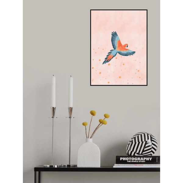 Fly With Me MultiColor 50x70 cm