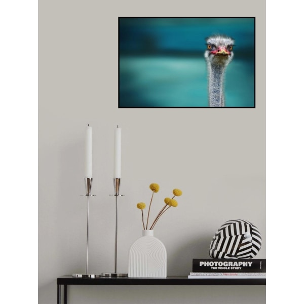 Strutsi suojelee kahta pientä kanaa tuulelta MultiColor 70x100 cm