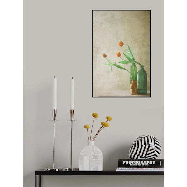 Three Tulips MultiColor 30x40 cm