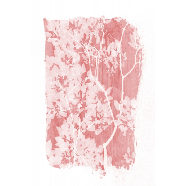 Pink Tree Foliage Silhouette MultiColor 70x100 cm