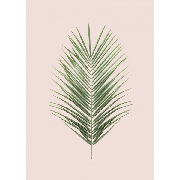 Palm Leaf Blush MultiColor 70x100 cm