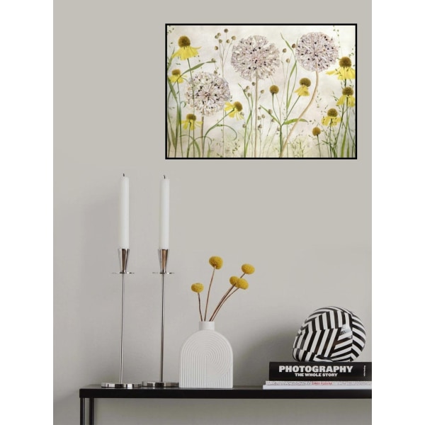 Alliums And Heleniums MultiColor 21x30 cm