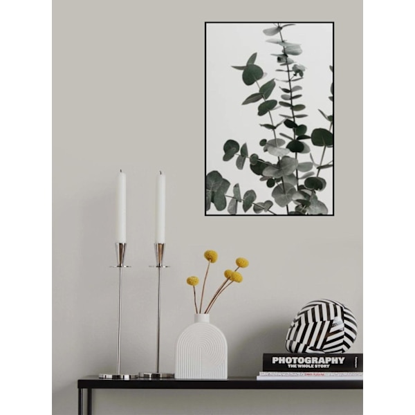 Eucalyptus Natural 07 MultiColor 70x100 cm