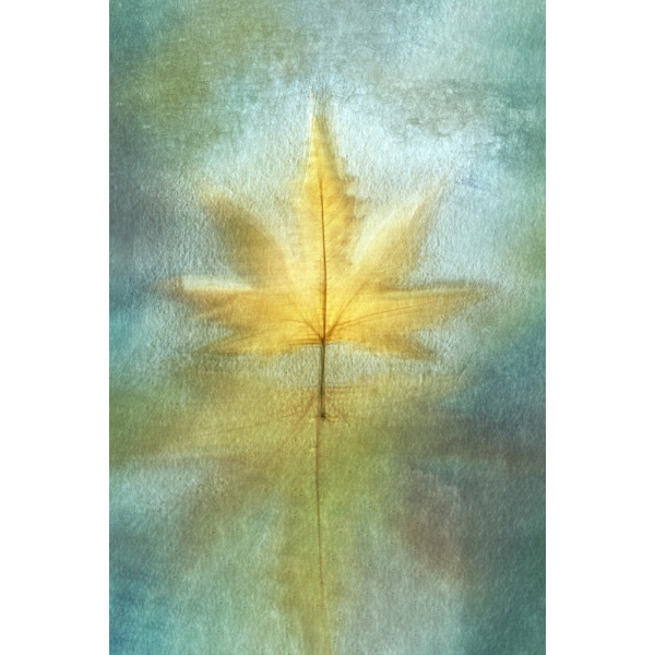 Reflections MultiColor 50x70 cm