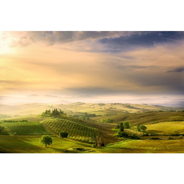 Podere Belvedere's Sunrise MultiColor 70x100 cm