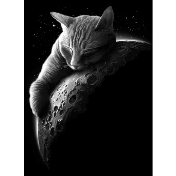 Mooncat MultiColor 21x30 cm