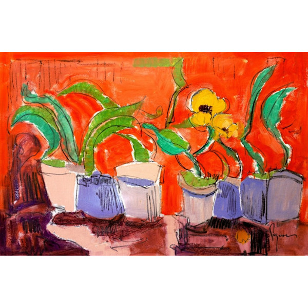 Df642 Joybloomsincherishedgarden MultiColor 70x100 cm