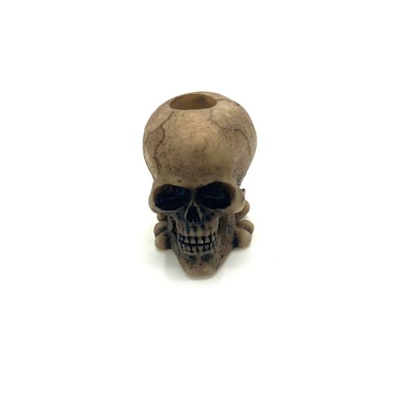 Pen holder skull